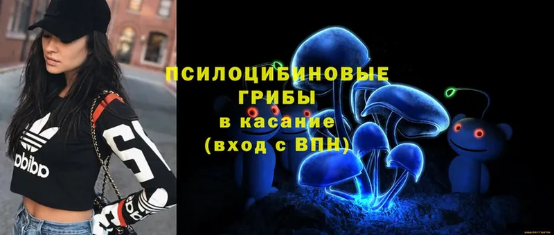 Псилоцибиновые грибы Psilocybe  Кохма 