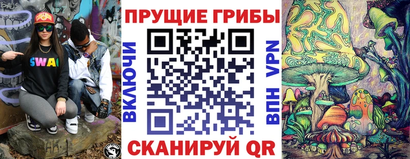 продажа наркотиков  Кохма  Галлюциногенные грибы Psilocybe 