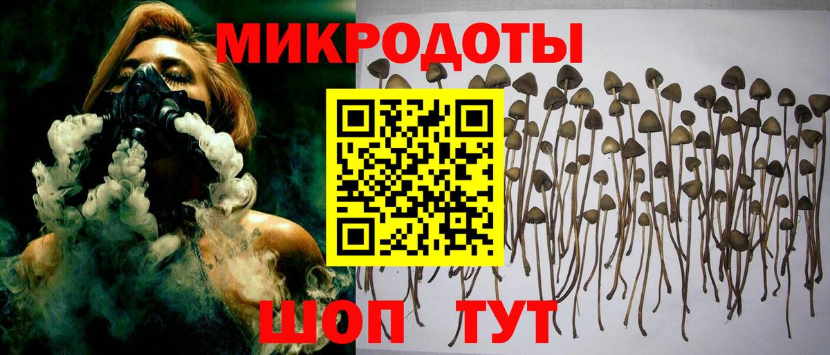 Галлюциногенные грибы MAGIC MUSHROOMS  Вход с VPN  Кохма  Галлюциногенные грибы Cubensis 
