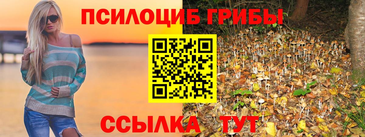 Псилоцибиновые грибы мухоморы Кохма